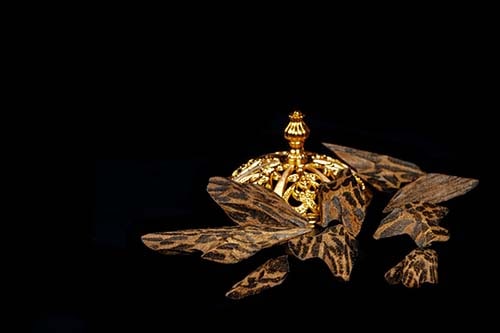 Karamat Atelier Products